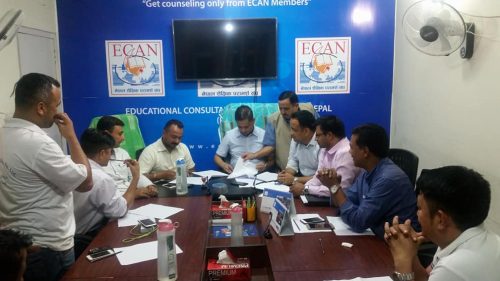 ECAN Activities